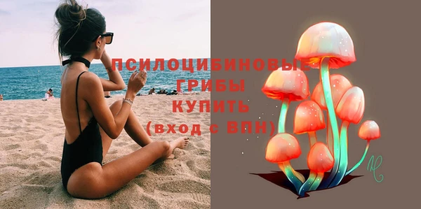 гидра Лиски