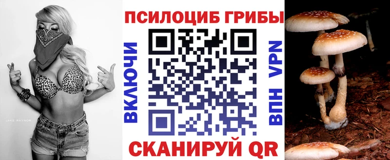 купить наркоту Берёзовка Псилоцибиновые грибы Psilocybine cubensis